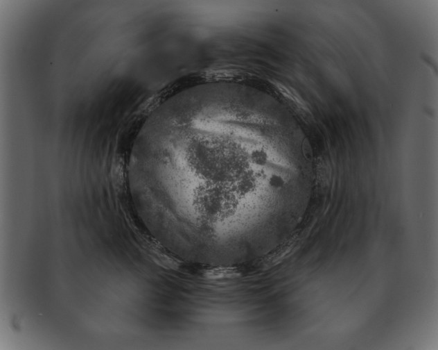 X0000091720761200709071436