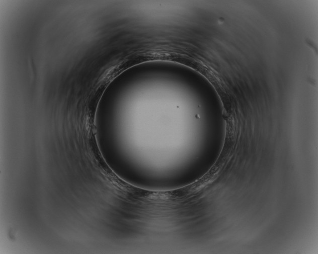 X0000091720762200709071436