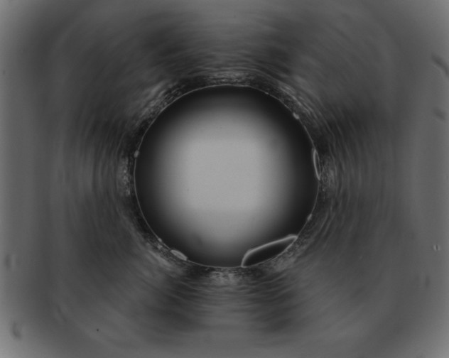 X0000091720764200709071436