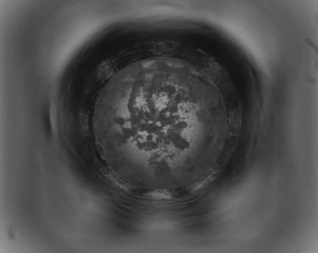 X0000091720765200709071436