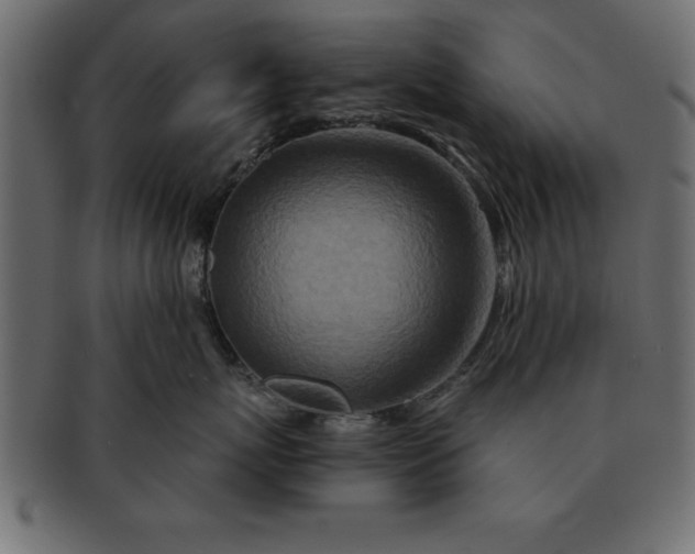 X0000091720767200709071436