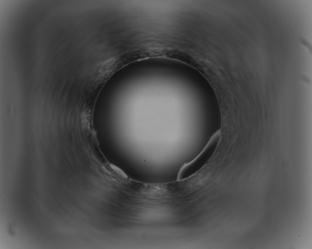 X0000091720768200709071436