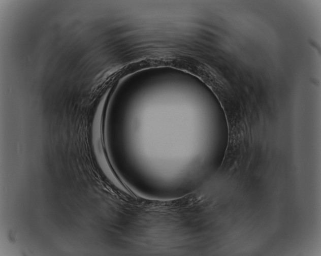 X0000091720773200709071435