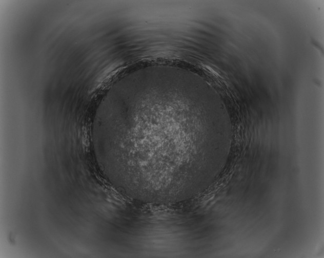 X0000091720774200709071435