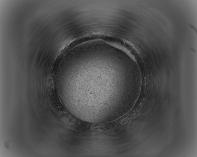 X0000091720776200709071435