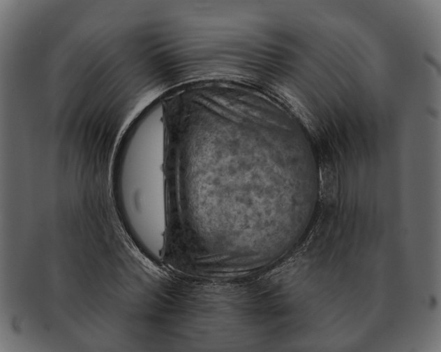 X0000091720780200709071435