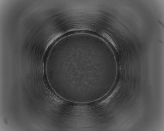 X0000091720781200709071435