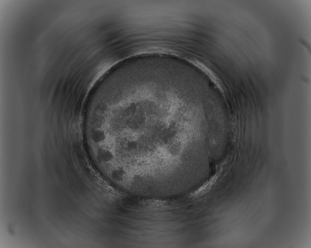 X0000091720783200709071435