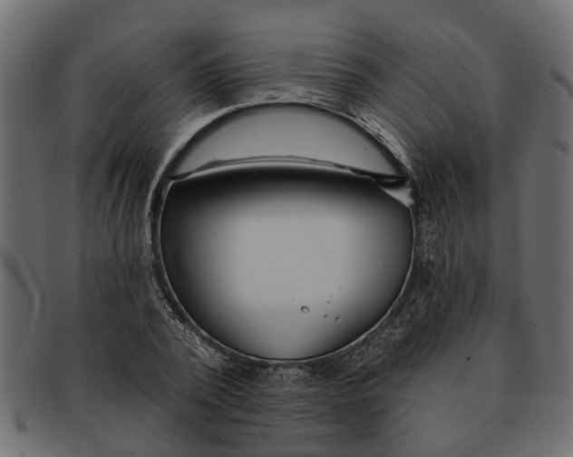 X0000091720784200709071435