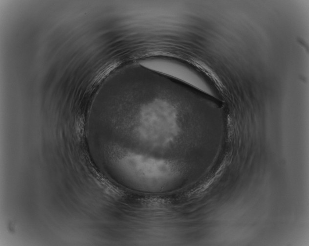 X0000091720785200709071435