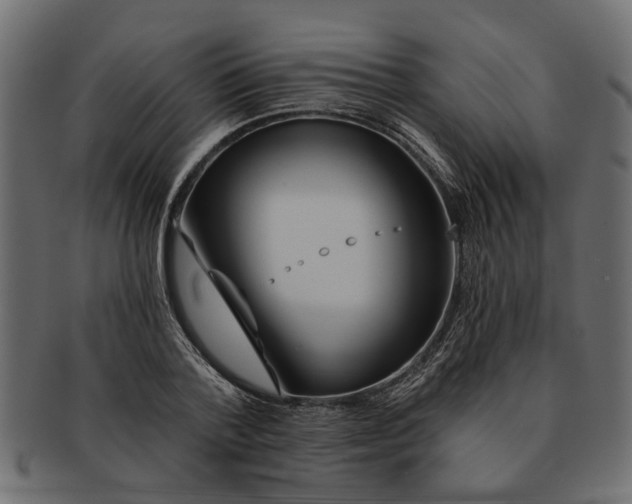 X0000091720788200709071435