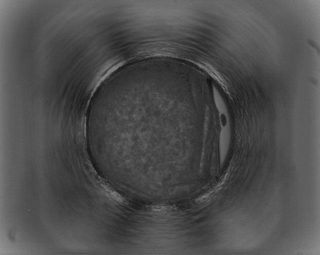 X0000091720790200709071435