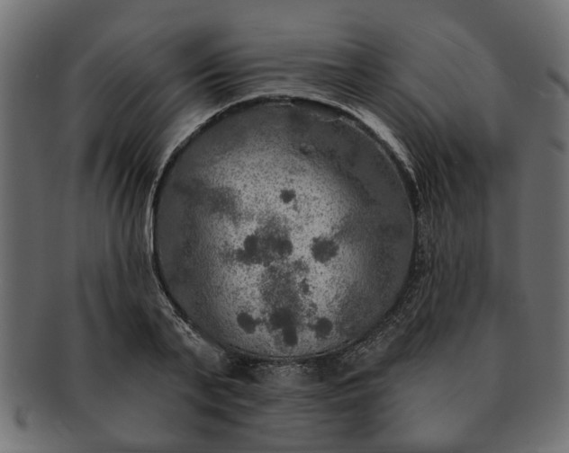 X0000091720791200709071435