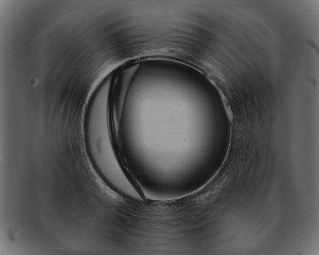 X0000091720792200709071435