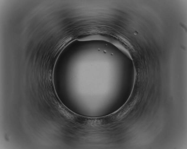 X0000091720793200709071435