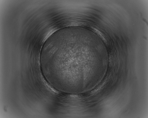 X0000091720794200709071435