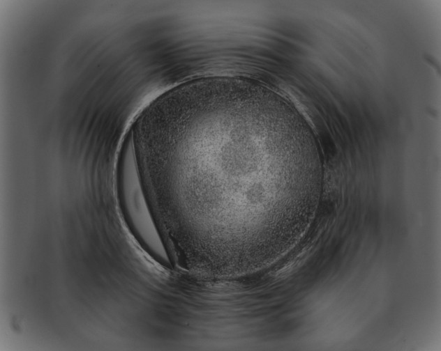 X0000091720795200709071435