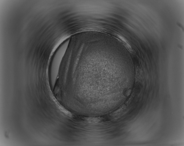 X0000091720796200709071435