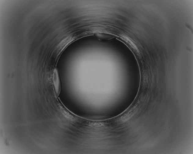 X0000091720801200709071435