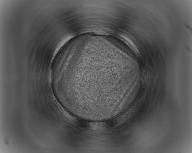 X0000091720804200709071435