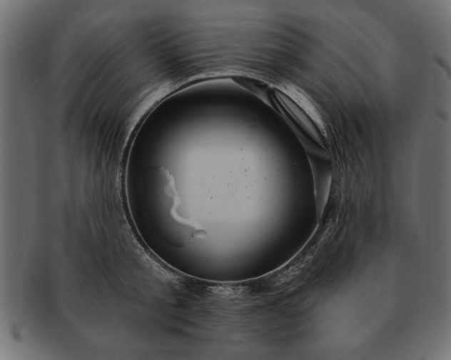 X0000091720805200709071435