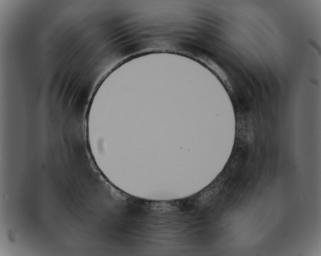 X0000091720807200709071435