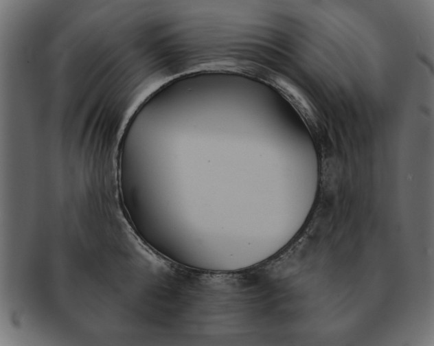 X0000091720808200709071435