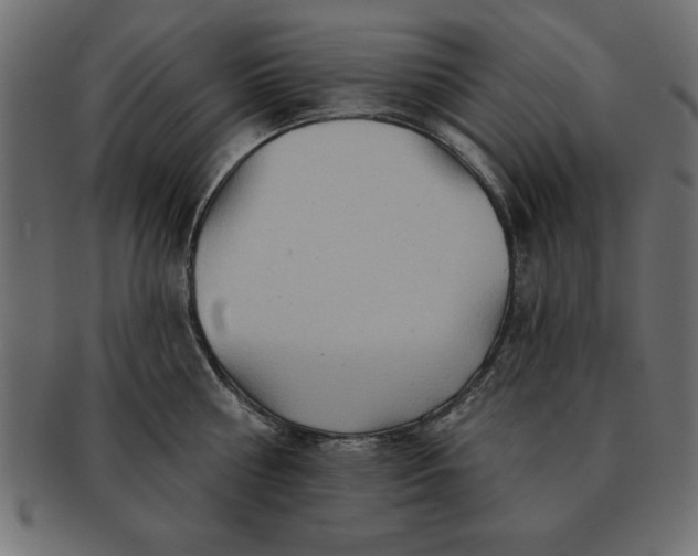 X0000091720810200709071434