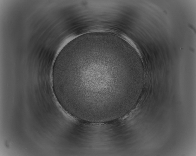 X0000091720811200709071434