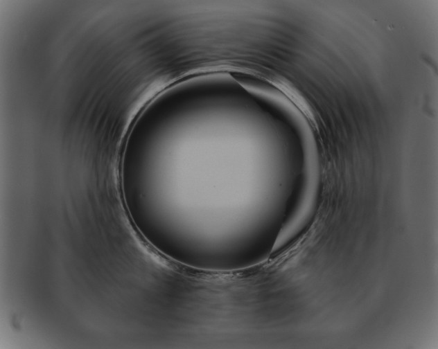 X0000091720813200709071434