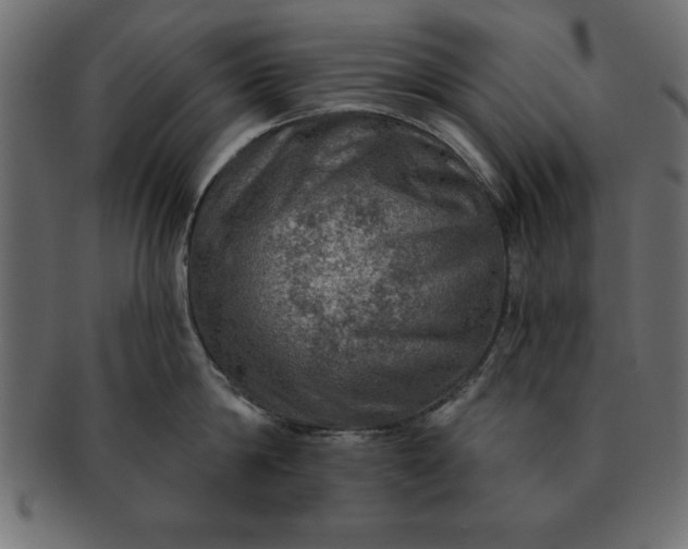 X0000091720814200709071434