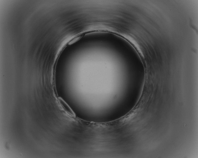 X0000091720815200709071434