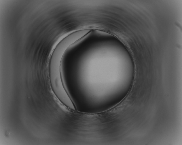 X0000091720816200709071434