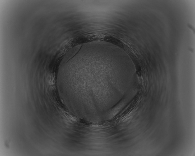 X0000091720818200709071434