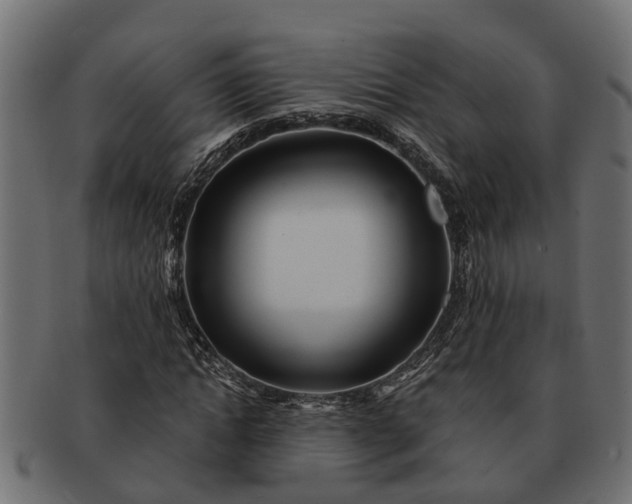 X0000091720822200709071434