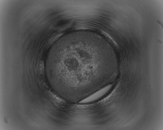 X0000091720825200709071434