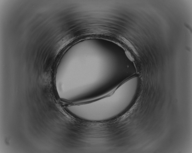 X0000091720826200709071434