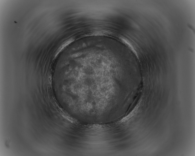 X0000091720827200709071434