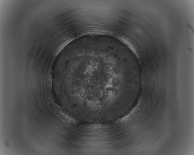 X0000091720829200709071434