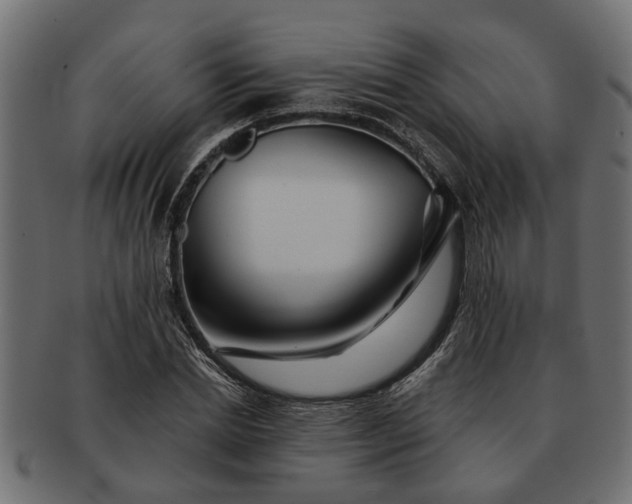 X0000091720830200709071434