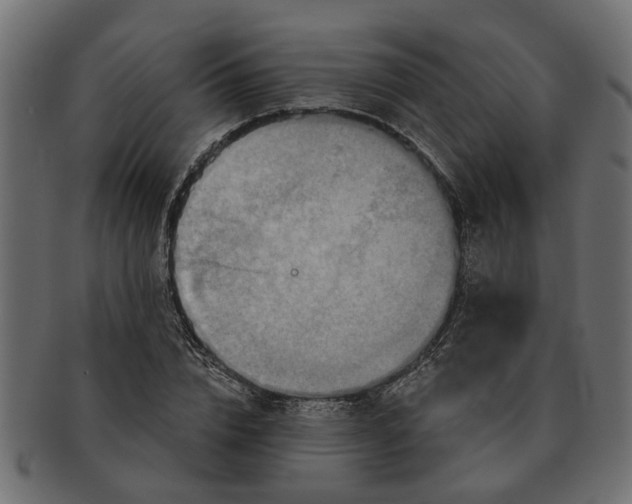 X0000091720832200709071434