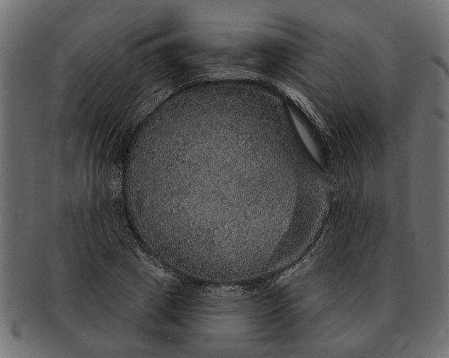 X0000091720833200709071434