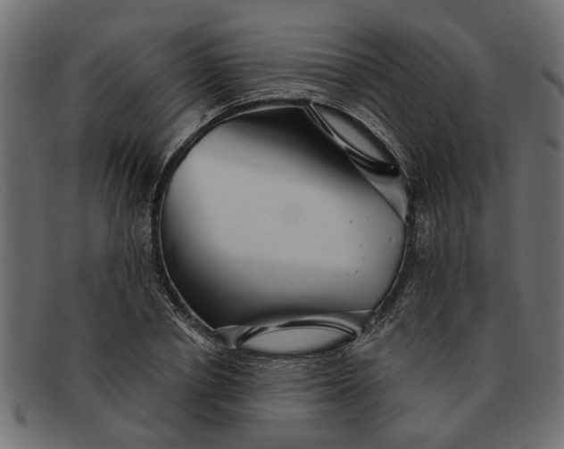 X0000091720834200709071434