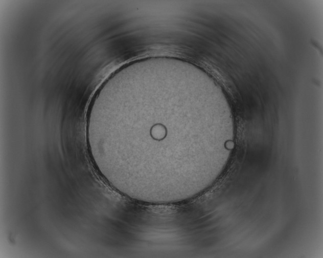 X0000091720836200709071434