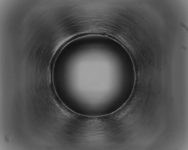 X0000091720838200709071434