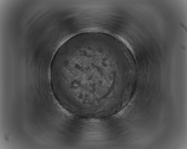 X0000091720839200709071434