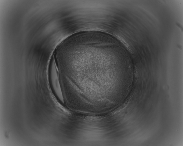 X0000091720840200709071434