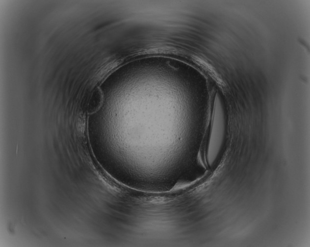 X0000091720841200709071434