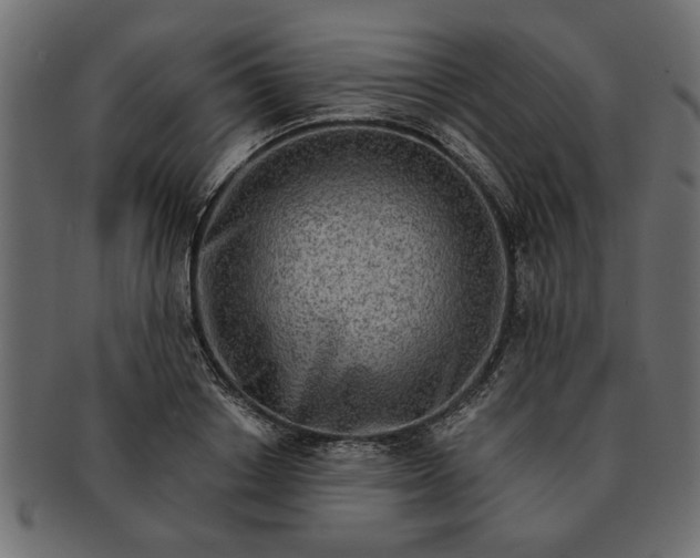 X0000091720842200709071434