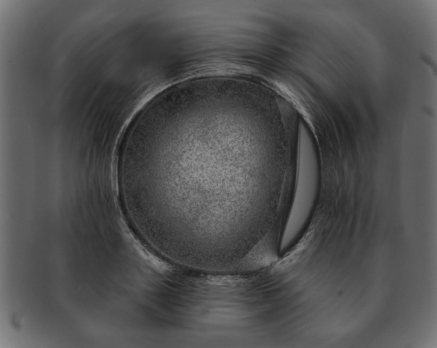 X0000091720843200709071434